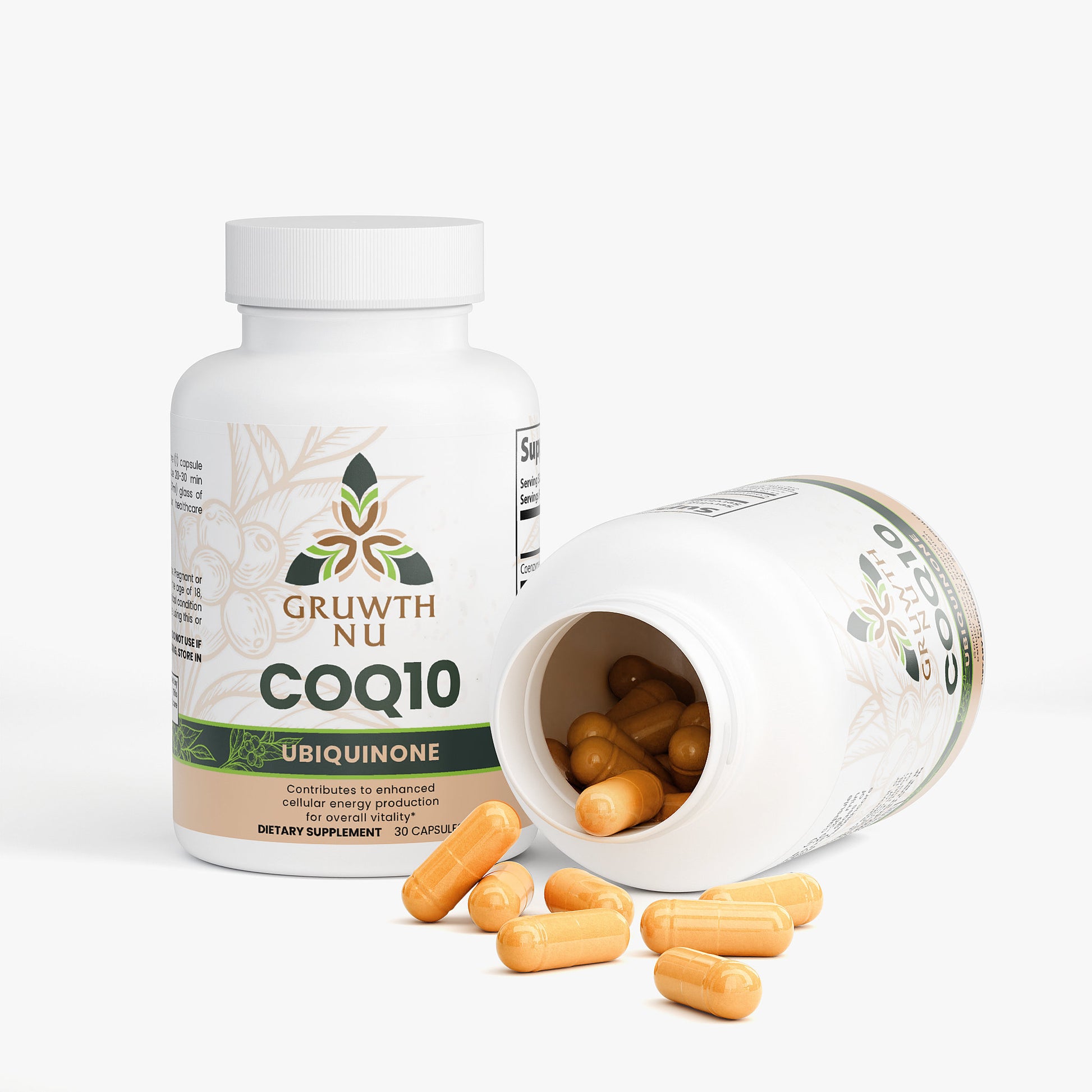 CoQ10 Ubiquinone
